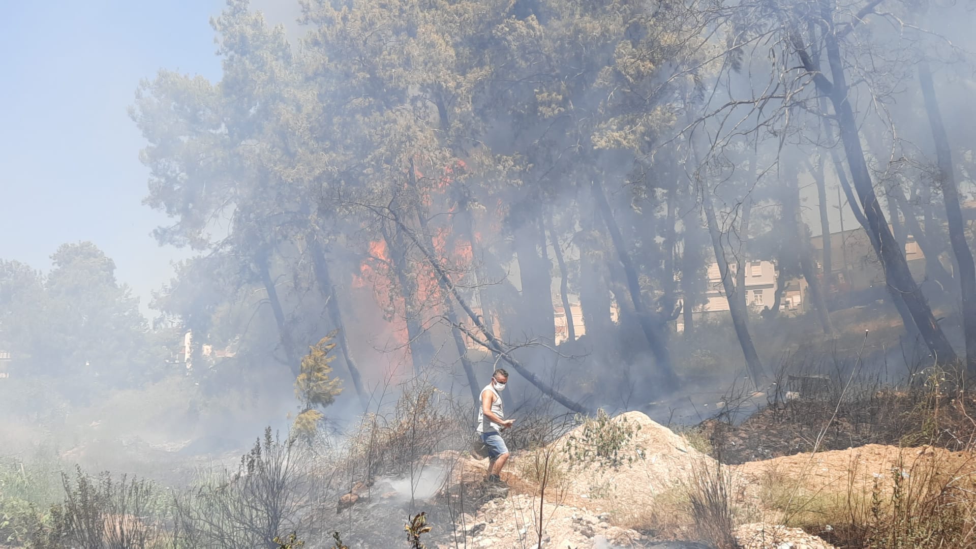 Manavgat’ta çıkan büyük orman yangını kontrol altına alınamadı