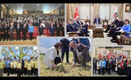 AK Parti Milletvekili Suna Kepolu Ataman, gayretle çalışmaya devam ediyor